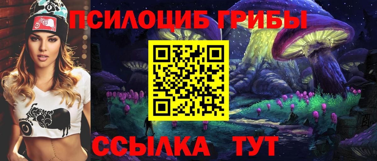 Галлюциногенные грибы Cubensis Ишим