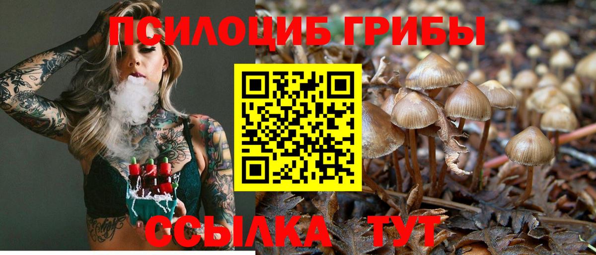 Ишим  Псилоцибиновые грибы Psilocybine cubensis  где найти наркотики  Вход с VPN  Псилоцибиновые грибы Psilocybine cubensis 
